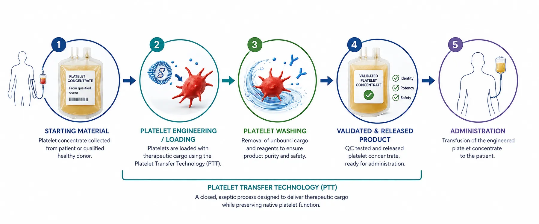 The five phases of the PTT process: starting material, platelet engineering/loading, platelet washing, validated & released product, administration
