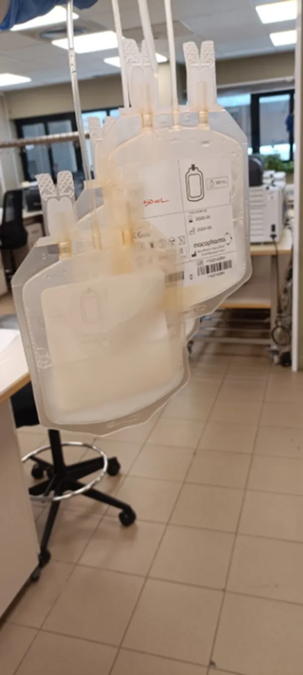 Loaded platelet concentrate bags, ready for administration